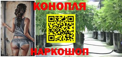 гидропоника Аргун