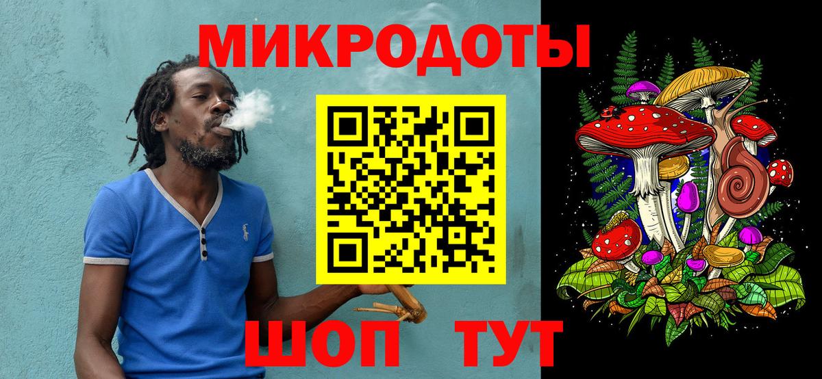 Братск  Псилоцибиновые грибы Cubensis  Галлюциногенные грибы прущие грибы  Вход с VPN 